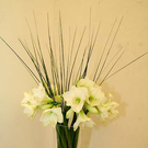 20091127_Luxury_0230.jpg