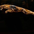 20091127_Luxury_0234.jpg
