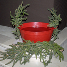056_bearbeitet-1_jpg-1295198095