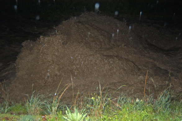 DSC_00090002_1.JPG