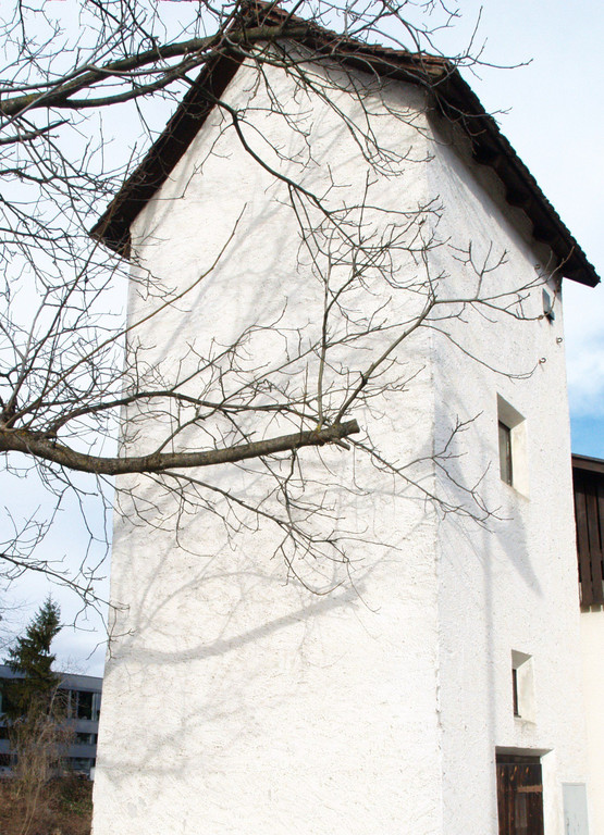 P1152696.jpg