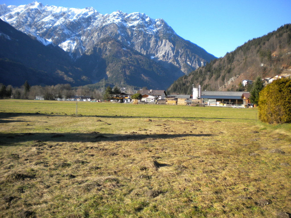 Bild 007_jpg-1295252667