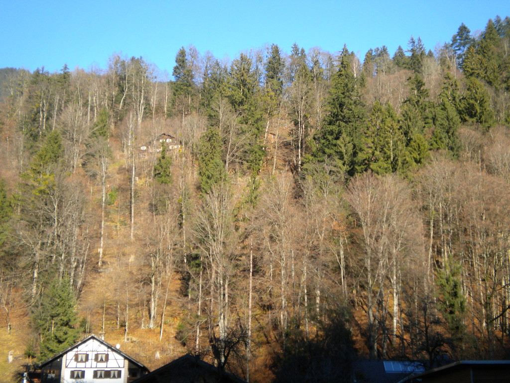 Bild 015_jpg-1295252695