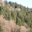 Bild 019_jpg-1295252707
