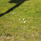 Bild 023_jpg-1295252714