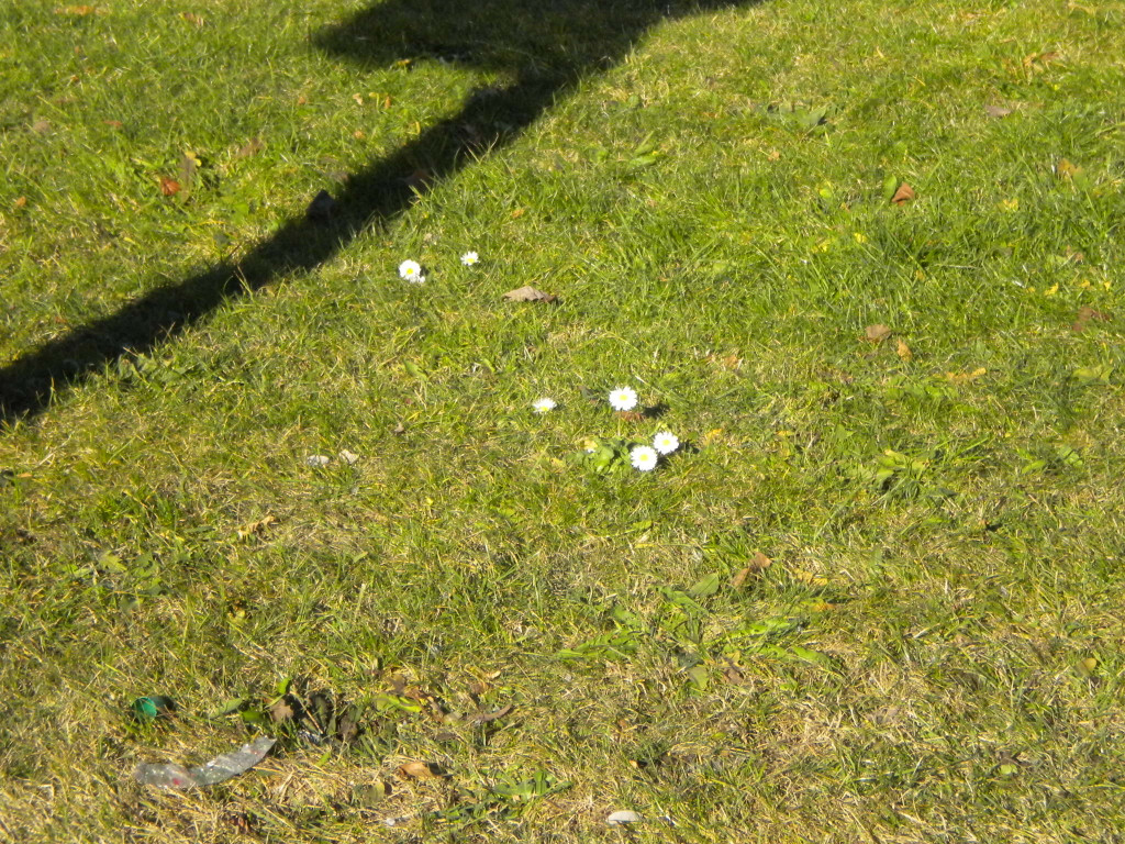 Bild 023_jpg-1295252714