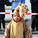 Umzug Fu__ach 16_01_11 29_jpg-1295251273