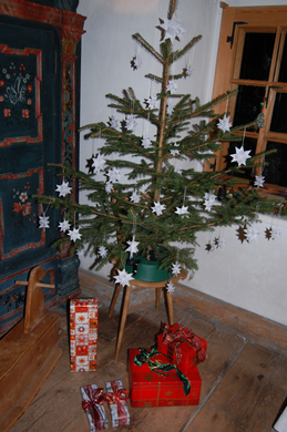 DSC_0128.JPG