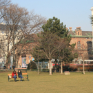 IMG_2154.JPG