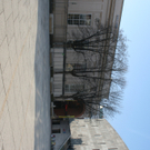 IMG_2169.JPG