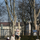 IMG_2184.JPG