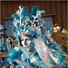 20110115_faschingsrambazamba_109_vol.JPG