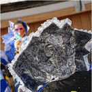 20110115_faschingsrambazamba_164_vol.JPG