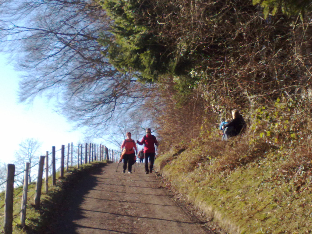 16012011413_jpg-1295278964