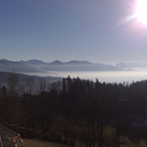 16012011415_jpg-1295278976