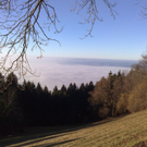 16012011418_jpg-1295279024