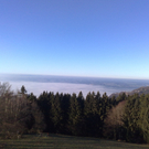 16012011419_jpg-1295279059