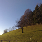 16012011424_jpg-1295279186