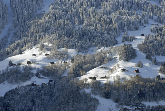 154_bearbeitet-1_jpg-1295281955
