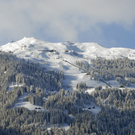 156_bearbeitet-1_jpg-1295281983