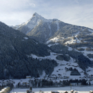 170_bearbeitet-1_jpg-1295282148