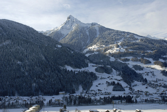 170_bearbeitet-1_jpg-1295282148