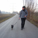 Robidogs für Spazierwege am Alten Rhein
