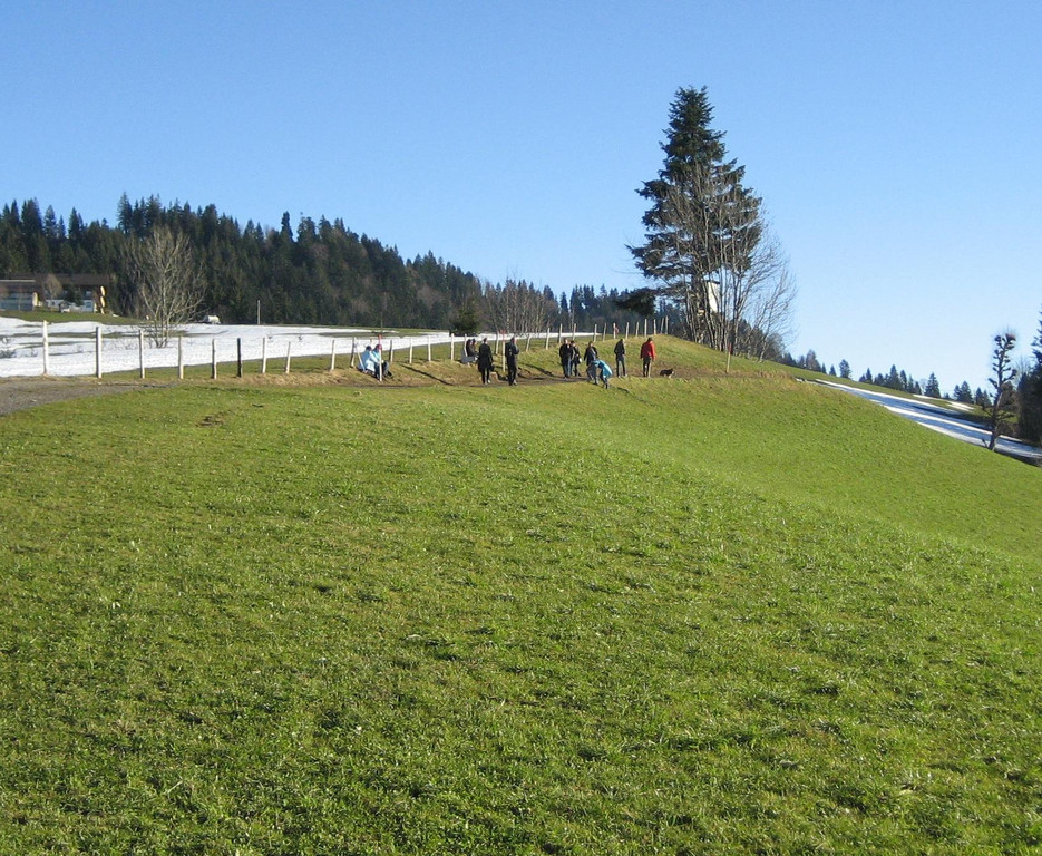 Nebelmeer Lutzenreute Bodensee _5__JPG-1295290013