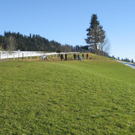 Eichenberg und das Nebelmeer