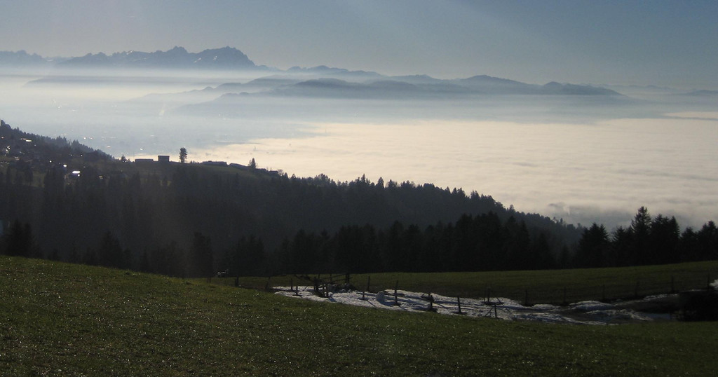 Nebelmeer Lutzenreute Bodensee_JPG-1295290022