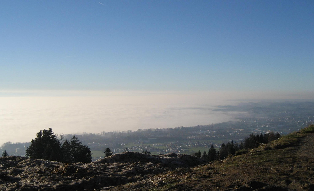 Nebelmeer Lutzenreute Bodensee _4__JPG-1295290034