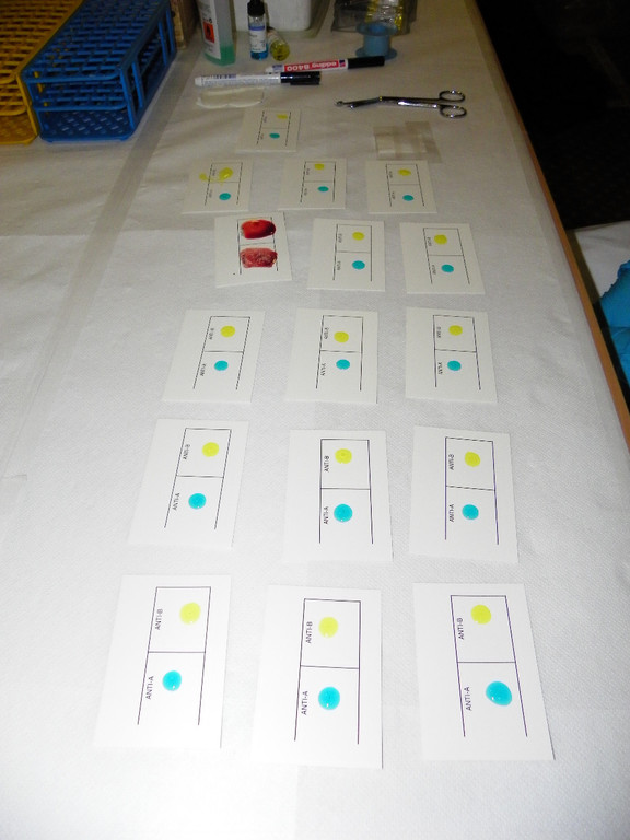 108_7086_jpg-1295313725