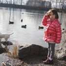Naturidylle am Alten Rhein