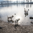 DSC05211.JPG