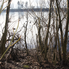 DSC05253.JPG