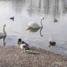 DSC05285.JPG