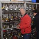 109_bearbeitet-1_jpg-1295393206