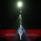 dc1-5xzv4dx74as59o0b9cc_original.jpg