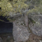 P1180142_JPG-1295515268