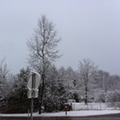 photo3.jpg