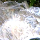 Unwetter im Dschungelcamp