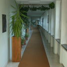 sm_gemeinde_brueder05.JPG