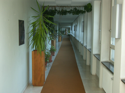 sm_gemeinde_brueder05.JPG