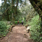 Kilimanjaro_Pf__nderv__gel5.jpg