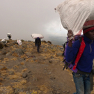 Kilimanjaro_Pf__nderv__gel6.jpg