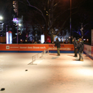 IMG_2508.JPG