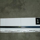 21_01_2011 LKA N__ 4.JPG
