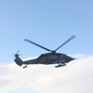 IMG_6675.jpg