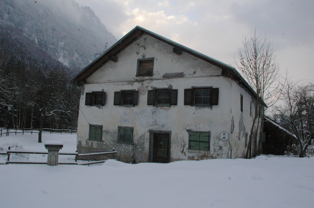 DSC_7949.JPG