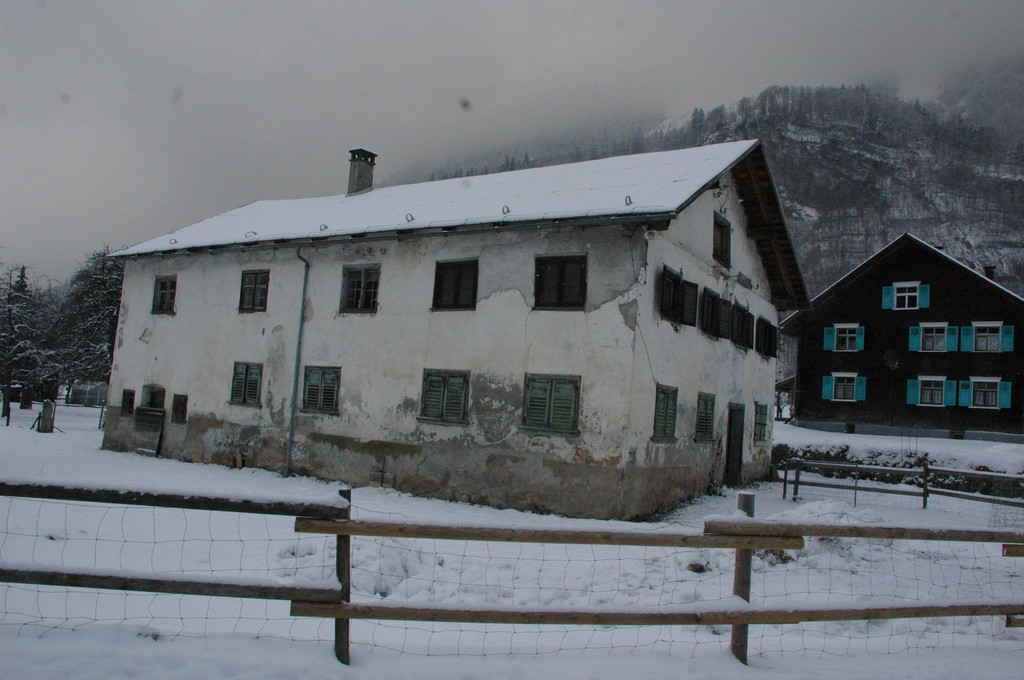DSC_7955.JPG